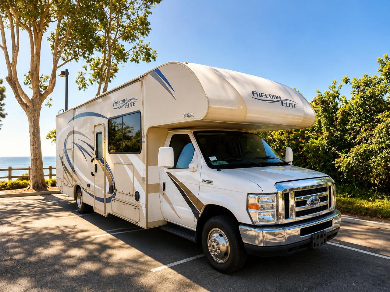 Thor Freedom Elite 29FE - Photo 4